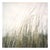 Paul Cooklin, Art, Lowestoft, Suffolk, Edition of 50 For Sale