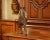 Animal Skin 19th Century French Leather and Papier Mâché Horse Sculpture With Horsehair Mane For Sale - Image 7 of 10