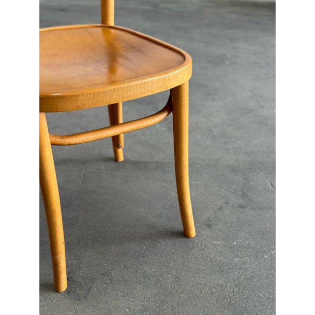 Late 20th Century Thonet Bentwood Bistro Chair - Single For Sale - Image 10 of 11