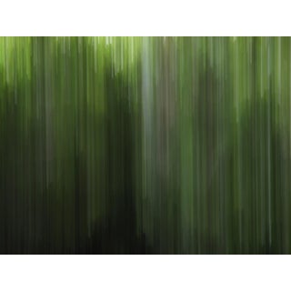 Contemporary Abstract Photographic Color Print For Sale