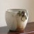 Late-20th Century Pottery Planter W/ Grapevine Motif For Sale - Image 4 of 12
