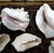 Contemporary Large Vintage Queen Conch Shells - Collection of 10 For Sale - Image 3 of 5
