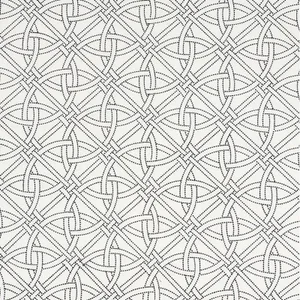 Schumacher X Matthew Patrick Smyth Durance Embroidery Fabric in Black & White
