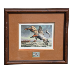 1980s "Canvasbacks" by David Maass, Featuring the 1982-1983 Federal Migratory Bird Hunting and Conservation Stamp.