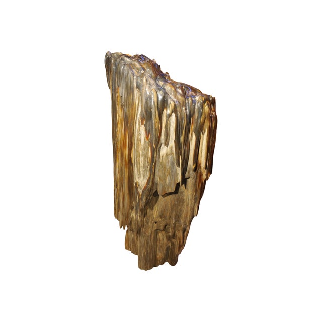 Big Petrified Wood Sculpture by Xyleia Petrified Wood For Sale - Image 4 of 4