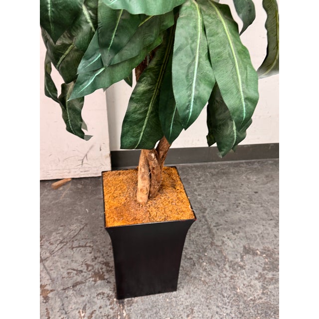 Faux Bird Nest Palm + Black Tapered Planter For Sale - Image 9 of 12