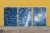 Contemporary Tulum Pleasant Waters Cyanotype Triptych - Set of 3 For Sale - Image 10 of 12
