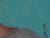 "Teal Tranquility" is an oil on panel painting by Kelly Birkenruth, completed in 2026. A woman is seen from behind against...