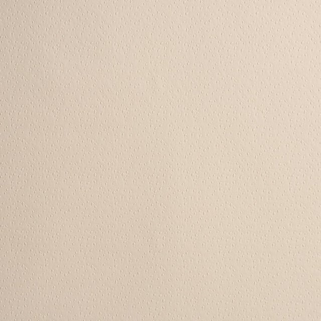 Schumacher Schumacher Ostrich Vegan Leather Fabric In Cream For Sale - Image 4 of 5