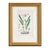 Mid 19th Century Antique French Botanical Engravings, Set of 3 – 1840s Hand-Colored Prints in Gilt Rope Frames For Sale - Image 5 of 17