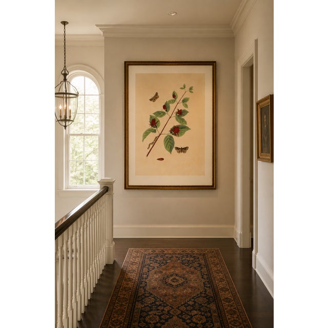 Antique Botanical Study With Moths, 1797 Vintage Art Print Reproduction, 32" X 48" For Sale - Image 11 of 13