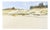 Andris Gutmanis, Dunes of Carnikava, 2022, Oil Painting on Canvas For Sale