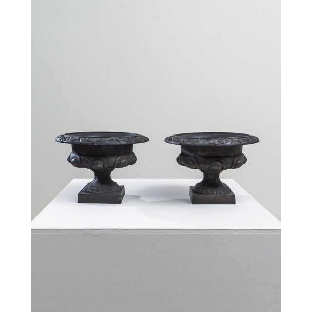 19th Century French Cast Iron Planters - A Pair For Sale - Image 9 of 18