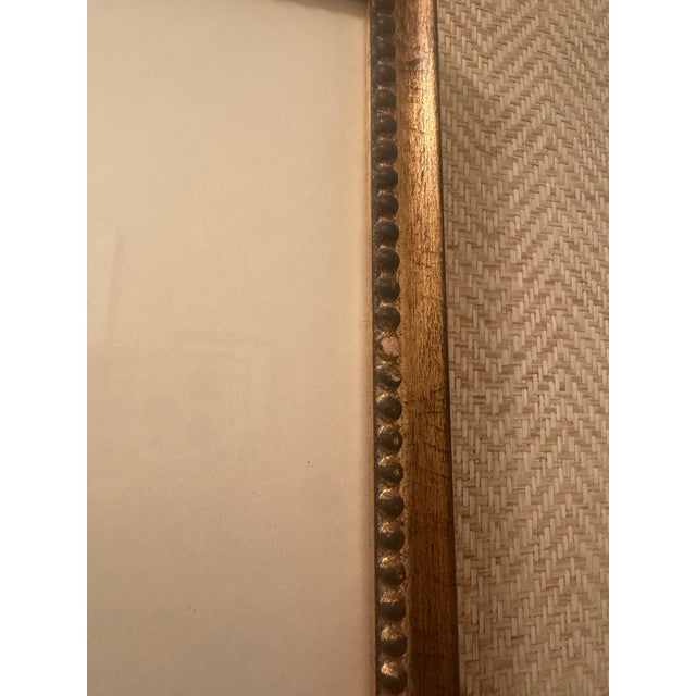 The Natural Light Gold Framed Bird Portrait Wall Art Pair For Sale - Image 12 of 12