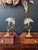 Brass lamp bases and shell-shaped glass shades. In excellent condition – no damage. 1970s. Electrical connection checked...