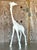 Late 20th Century Vintage Boho Plaster Giraffe For Sale In West Palm - Image 6 of 9