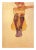 Artist: Egon Schiele Country: Austria Title: Seated nude with purple Stocking Medium: Offset – 2 Paper: Heavy paper 16 x...
