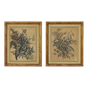 18th C French Botanical Monnoyer De Poilly Engravings Laid Paper Gilt Wood - A Pair, Framed