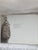 White Jerico the South Beheld / Vintage Oversized Coffee Table Book / Signed Copy For Sale - Image 8 of 12