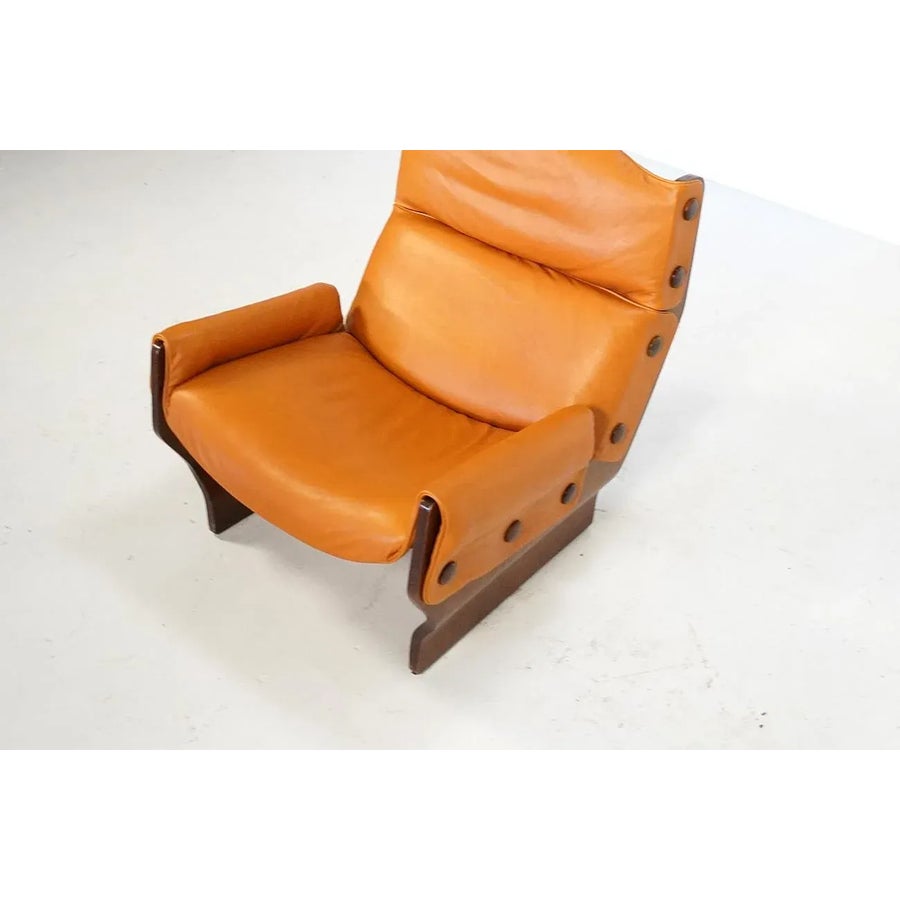 P110 Canada Lounge Chair by Osvaldo Borsani for Tecno, Italy
