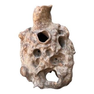 Vintage Organic Wood Knot Sculpture For Sale