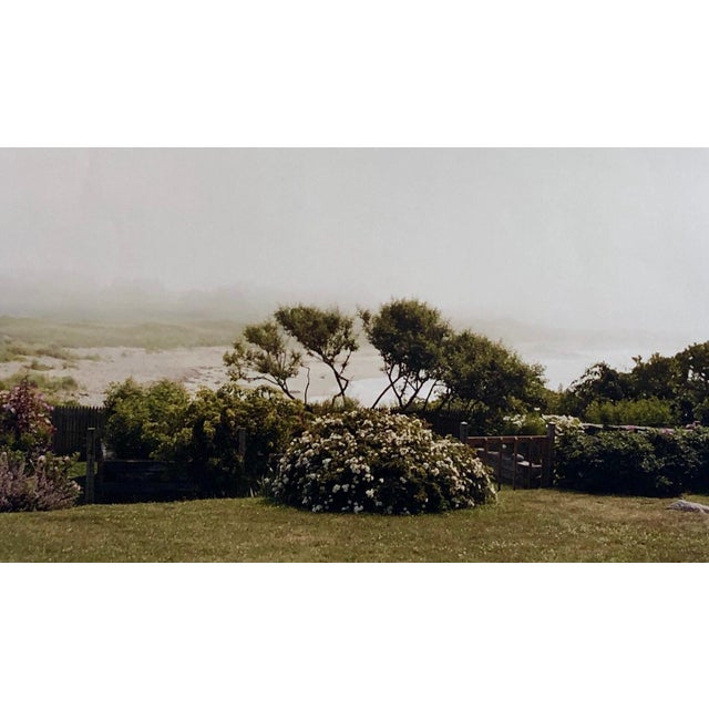 Wild Roses , Photo, The Tappen House, Little Compton, RI (Rhode Island). Hand signed and numbered. small edition of 15,...