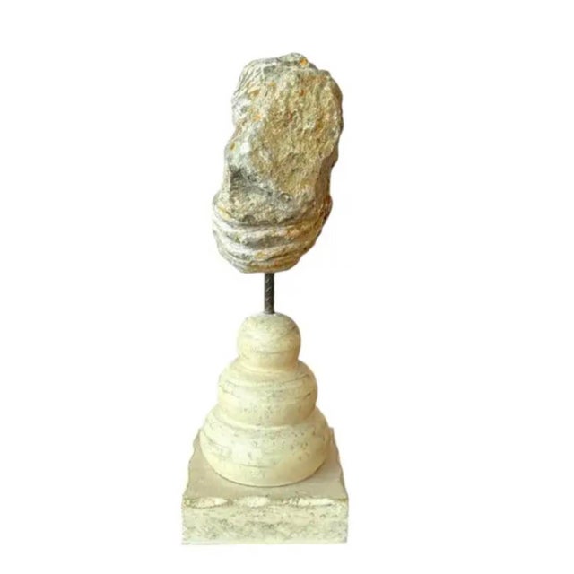 Ammonite Fossil Sculpture on Wooden Stand, Organic Modern Design For Sale - Image 4 of 8