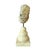 Ammonite Fossil Sculpture on Wooden Stand, Organic Modern Design For Sale - Image 4 of 8