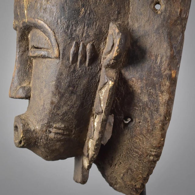 Wood Early 20th Century Baule Portrait Mask Kpan Mblo Côte d'Ivoire For Sale - Image 7 of 12
