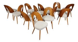 Dining Chairs from Antonin Suman, 1960s, Set of 12
