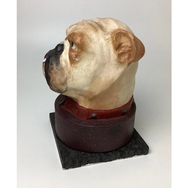 English Bulldog Head Papier-mâché Collar Box For Sale - Image 4 of 11