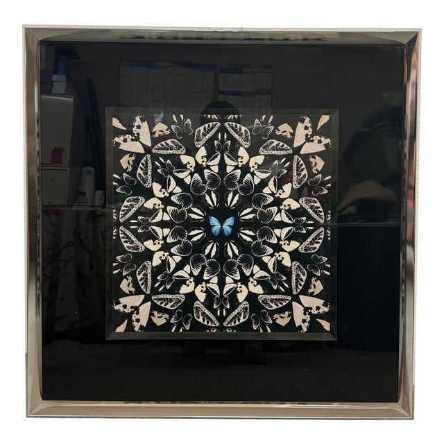 Laitan Home Decorations Butterfly Print Art Work, Framed For Sale