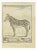 Zebra is an etching realized by Jean Charles Baquoy in 1771. It belongs to the suite "Histoire Naturelle de Buffon". The...