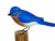Wood Hand Carved Bluebird Handmade Hand Painted Bird 8"h Wood Carving For Sale - Image 7 of 8