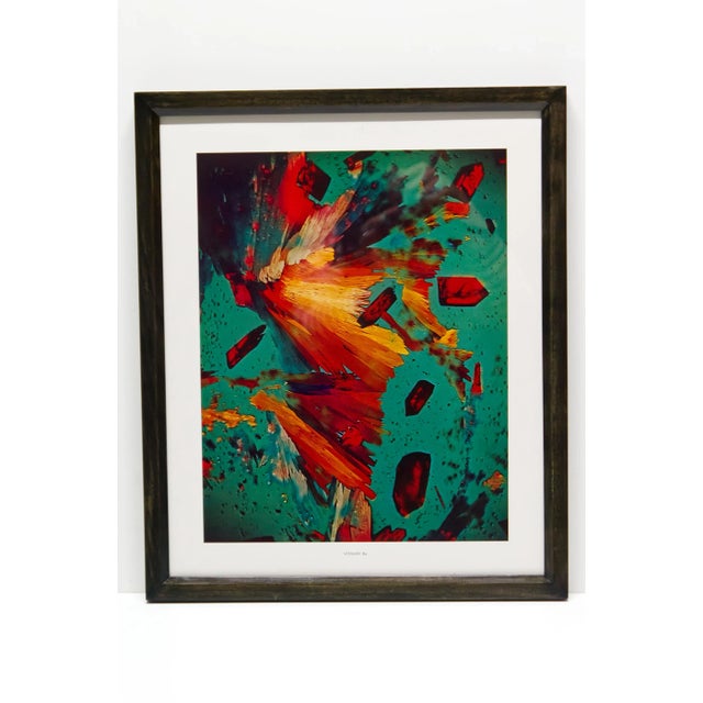 A set of four (4) photo-micrography prints from the Where Worlds Meet; An Artistic Approach to Scientific Photography...