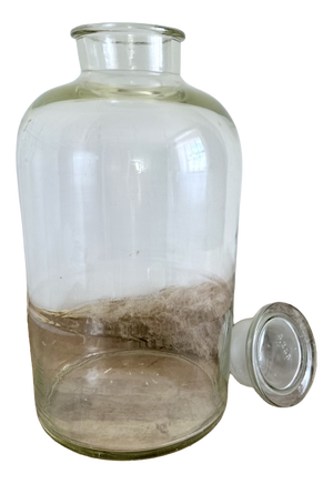 French Laboratory Glass Storage Jar with Fitted Glass Stopper, 1920s