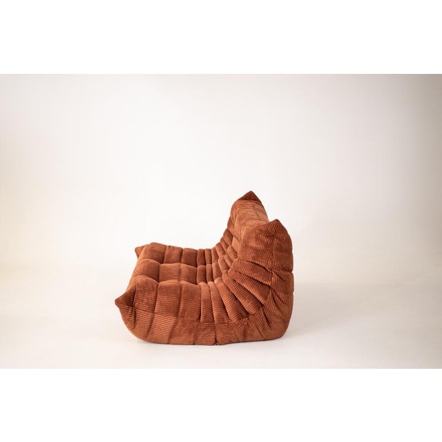 Togo Two-Seat in Brown Corduroy by Michel Ducaroy for Ligne Roset For Sale - Image 5 of 12