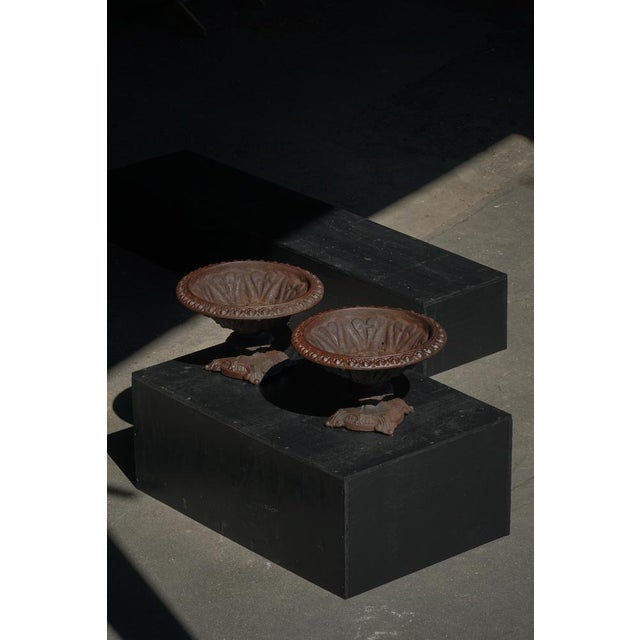 Antique Neoclassical Cast Iron Garden Vases, France, 1920s, Set of 2 For Sale - Image 3 of 15
