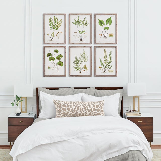 Shade Garden Study, Set Of 6 For Sale In Chicago - Image 6 of 6