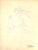 Traditional Original 1944 Pencil Drawing From Hi, Guy! The Cinderella Horse by Paul Brown 25 For Sale - Image 3 of 6