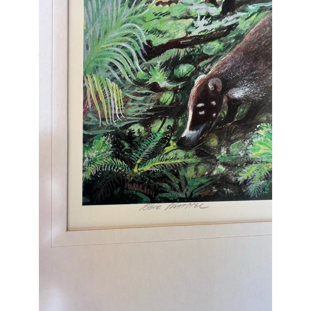 Figurative Late 20th Century Framed Art of Coatis Animal in the Woods Signed and Numbered For Sale - Image 3 of 8