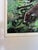Figurative Vintage Framed Coatis Animal in the Woods Signed and Numbered For Sale - Image 3 of 8