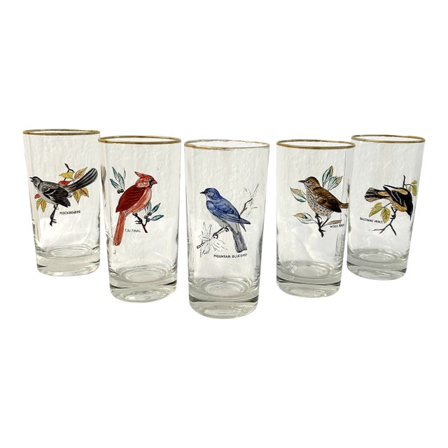 Mid-Century Bird Watcher Highball Glasses, Set of 5 For Sale