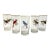 Mid-Century Bird Watcher Highball Glasses, Set of 5 For Sale