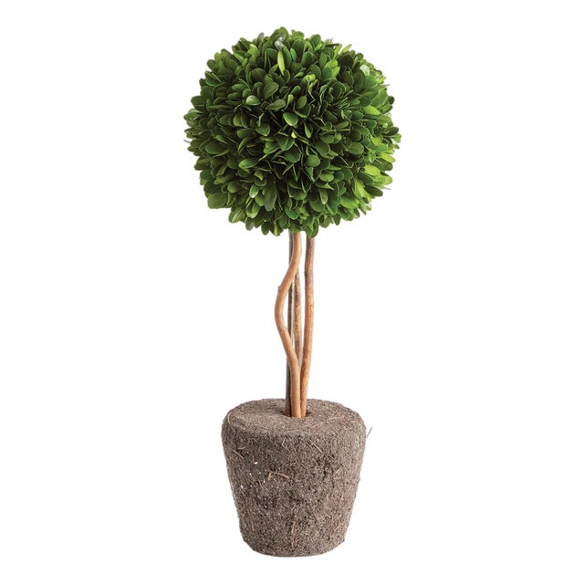 Boxwood Single Sphere Topiary Drop-In 16" For Sale
