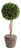 Boxwood Single Sphere Topiary Drop-In 16" For Sale