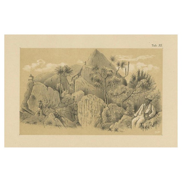 Antique Landscape Illustration of Christoffelberg Curaçao Summit Ascent, 1888 For Sale - Image 10 of 10