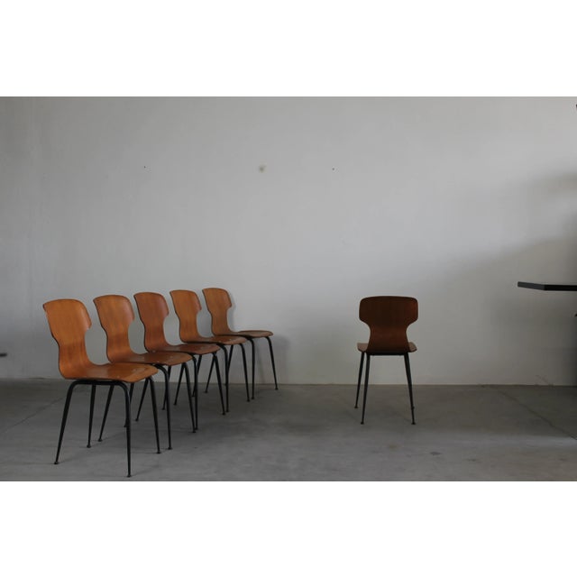 Plywood Chairs by Carlo Ratti for Industria Legni Curvati Lissone, 1950, Set of 6 For Sale - Image 4 of 7