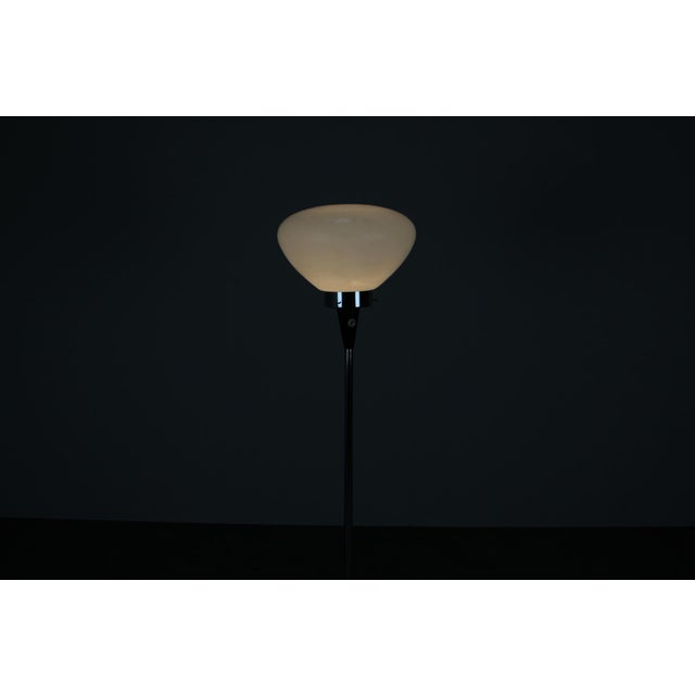 Mid-Century Floor Lamp by J. Bejvl, Former Czechoslovakia, 1960s For Sale - Image 12 of 14