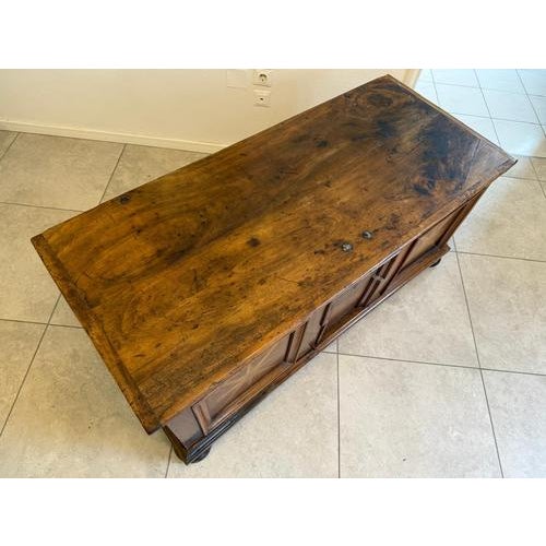 Baroque Chest in Iron and Hardwood For Sale - Image 11 of 18